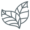 Botanical Actives